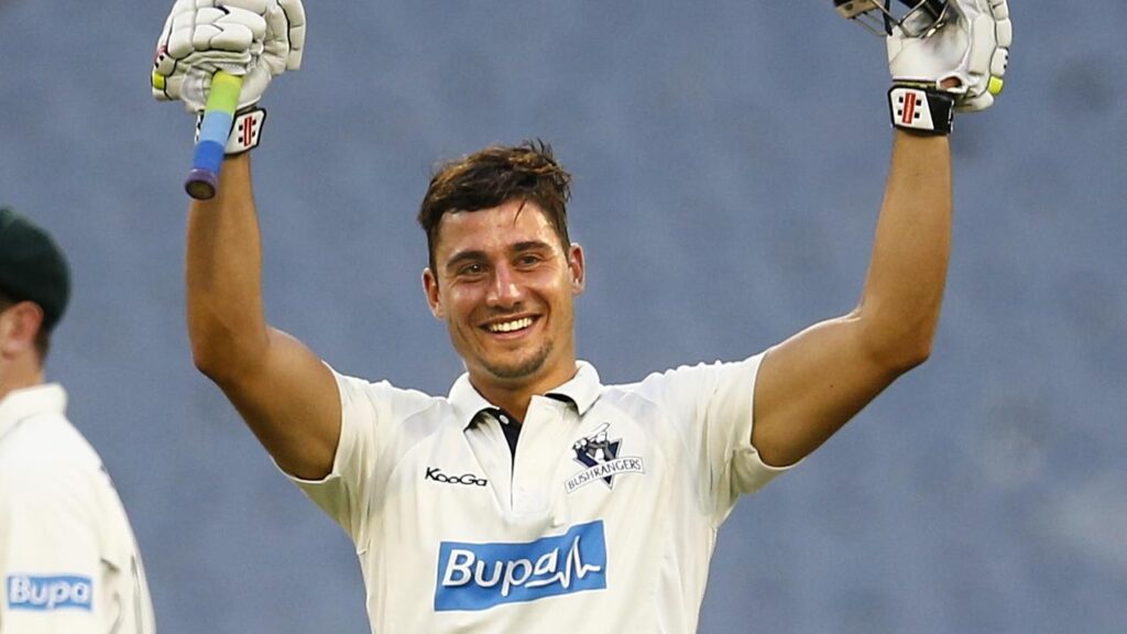 Stoinis in domestic cricket